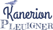 logo kanerion pleuigner